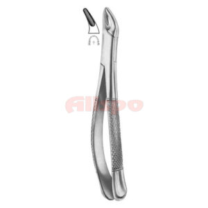Extracting Forceps American Pattern Z 02