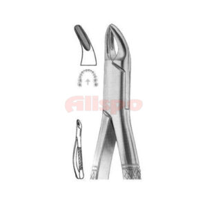Extracting Forceps American Pattern Z 04