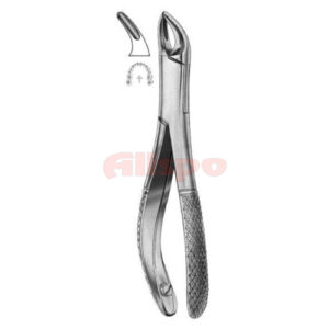Extracting Forceps American Pattern Z 29