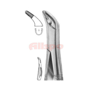 Extracting Forceps American Pattern Z 06