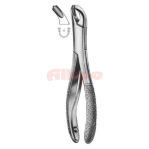 Extracting Forceps American Pattern Z 28