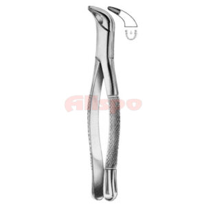 Extracting Forceps American Pattern Z 09
