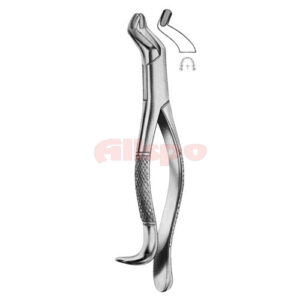 Extracting Forceps American Pattern Z 11