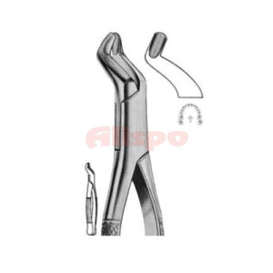 Extracting Forceps American Pattern Z 10