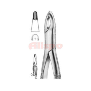 Extracting Forceps American Pattern Z 12