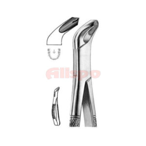 Extracting Forceps American Pattern Z 13