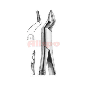 Extracting Forceps American Pattern Z 15