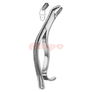 Extracting Forceps American Pattern Z 16