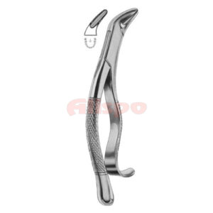 Extracting Forceps American Pattern Z 17