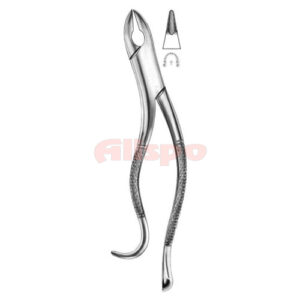 Extracting Forceps American Pattern Z 22