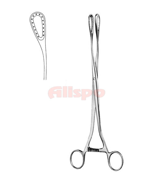 Placenta and Ovum Forceps 2