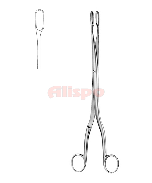 Placenta and Ovum Forceps 3
